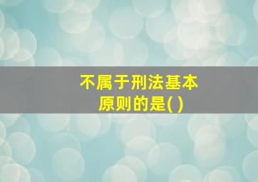 不属于刑法基本原则的是( )